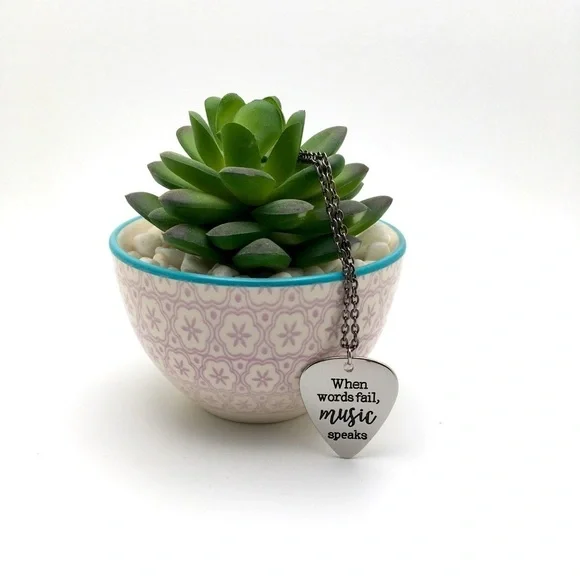 Stainless Steel Guitar Pick Charm Necklace 18" - Picture 3 of 5